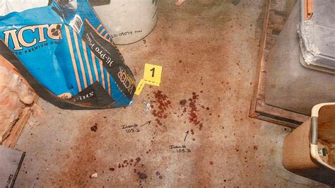 autopsy photos of maggie murdaugh|Photo Gallery: See evidence photos from Alex。